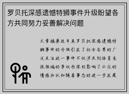 罗贝托深感遗憾特狮事件升级盼望各方共同努力妥善解决问题